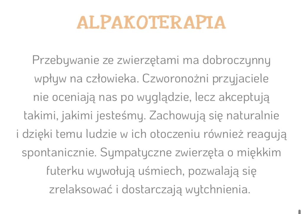 alpakoterapia żłobek śpiewające brzdące
