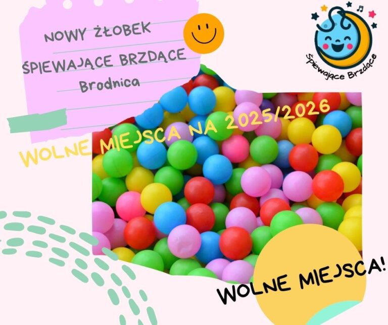 wolne miejsca w żłobku Brodnica