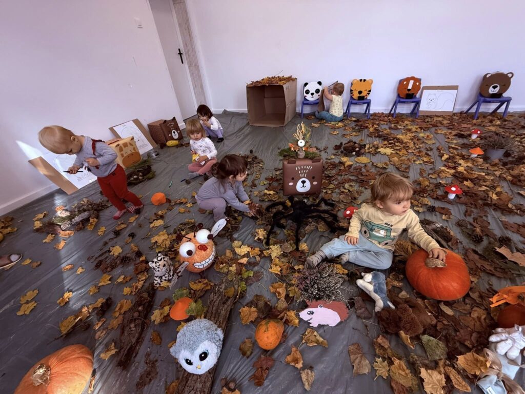 prywatny żłobek w Brodnicy